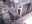 7051_6.JPG