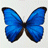 Avatar di mojoint