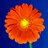Avatar di cinzia_tv