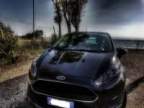 Avatar di Marcyfiesta