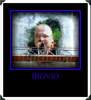 Avatar di bovio