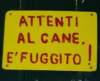 Avatar di Pinko