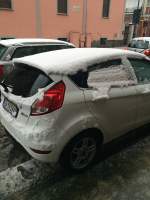 Avatar di FiestaFred