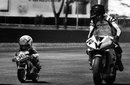 Avatar di falco1