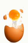 Avatar di Ovo