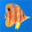Avatar di tommy73